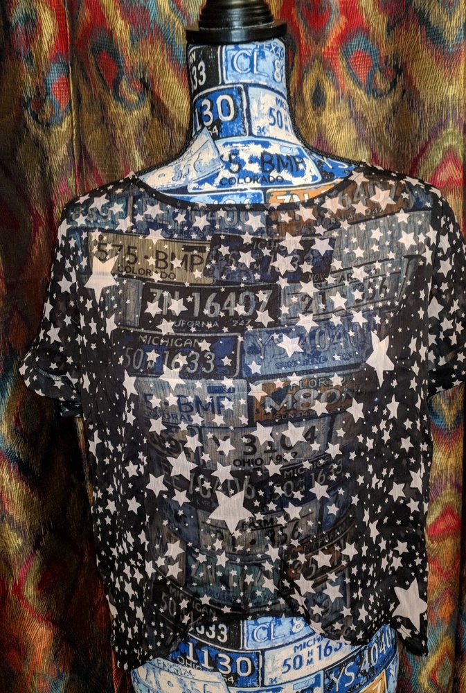 American Rag- sheer stars and sequins top